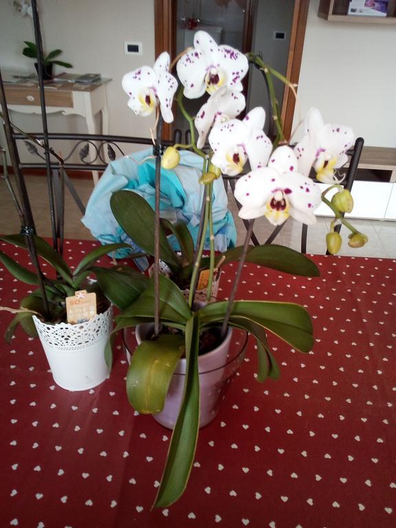 L'Orchidea Di Ale Bed and Breakfast Tivoli Terme Buitenkant foto